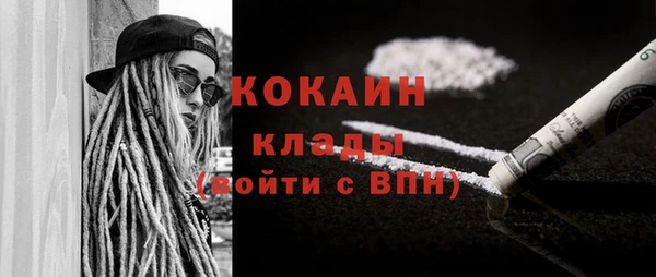 прущие грибы Володарск