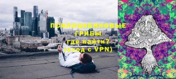 прущие грибы Володарск