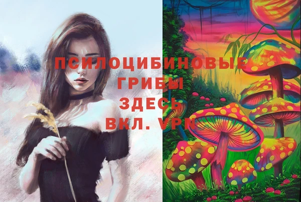 прущие грибы Володарск