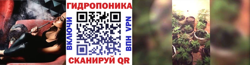 Марихуана марихуана  Славянск-на-Кубани 